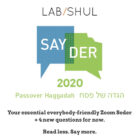 Sayder 2020