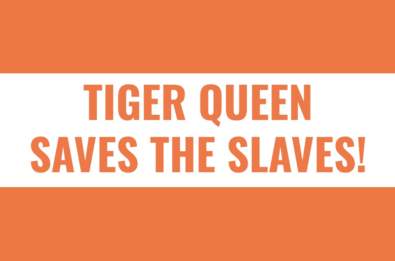 Tiger Queen Saves the Slaves