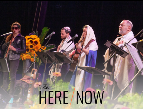 Meet our High Holy Team!