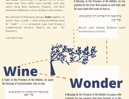 Tu B’Shevat Seder Kit