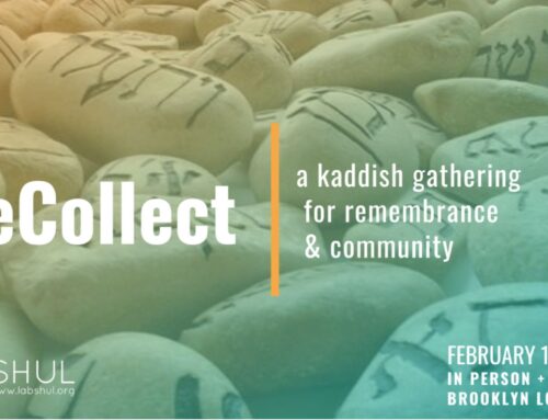 Join us this Wednesday for a special TuB’shvat ReCollect // A Kaddish gathering for remembrance & community