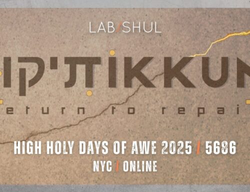 TIKKUN – Return to Repair: Our NEW High Holy Days Theme
