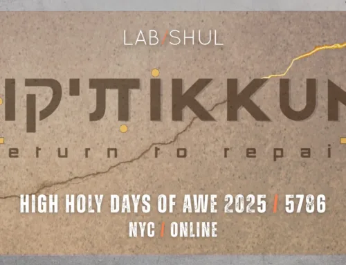 TIKKUN – Return to Repair: Our NEW High Holy Days Theme